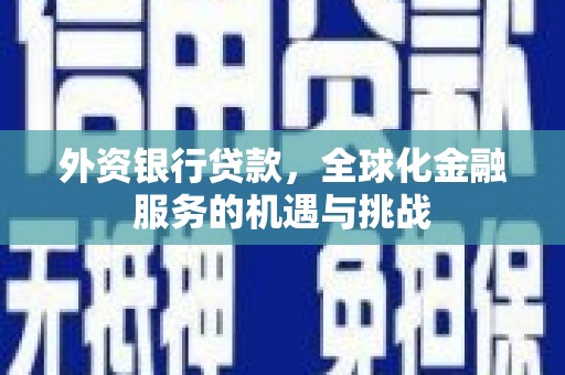临邑外资银行贷款，全球化金融服务的机遇与挑战