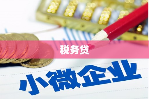 临邑税务贷