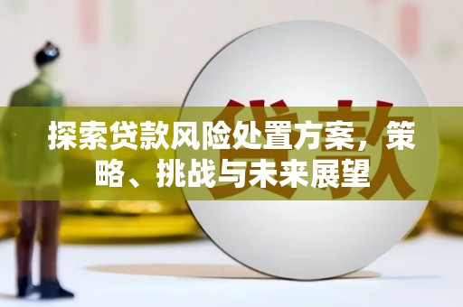 临邑探索贷款风险处置方案，策略、挑战与未来展望