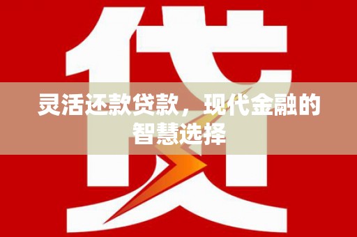 临邑灵活还款贷款，现代金融的智慧选择