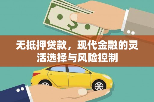 临邑无抵押贷款，现代金融的灵活选择与风险控制