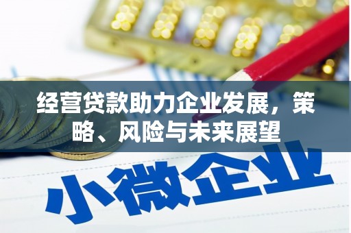 临邑经营贷款助力企业发展，策略、风险与未来展望