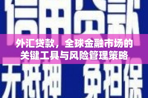 临邑外汇贷款，全球金融市场的关键工具与风险管理策略