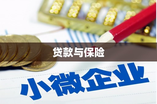 临邑贷款与保险