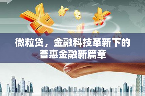 临邑微粒贷，金融科技革新下的普惠金融新篇章