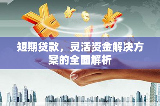 临邑短期贷款，灵活资金解决方案的全面解析