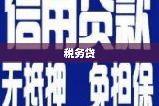 临邑税务贷