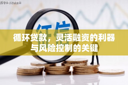 临邑循环贷款，灵活融资的利器与风险控制的关键