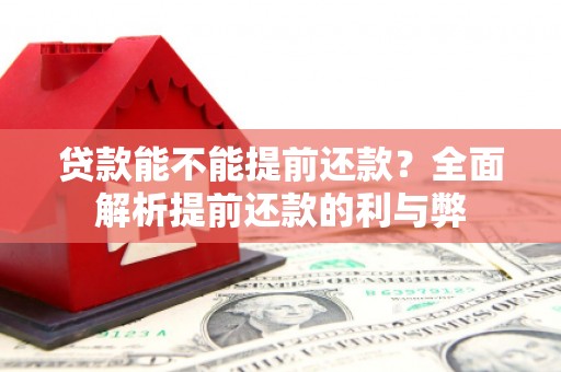 临邑贷款能不能提前还款？全面解析提前还款的利与弊