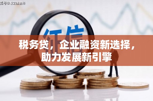 临邑税务贷，企业融资新选择，助力发展新引擎