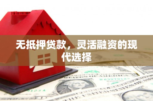 临邑无抵押贷款，灵活融资的现代选择