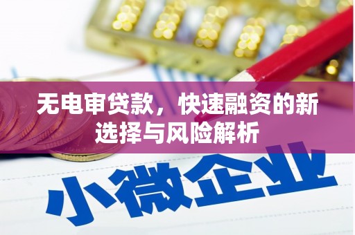 临邑无电审贷款，快速融资的新选择与风险解析