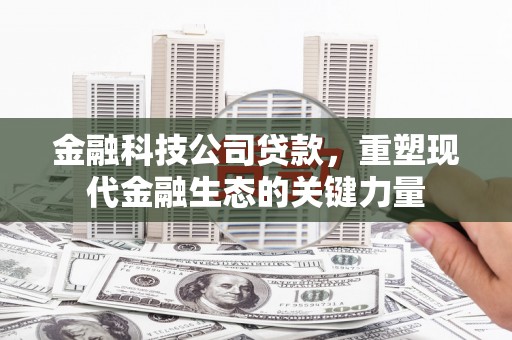 临邑金融科技公司贷款，重塑现代金融生态的关键力量