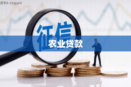 临邑农业贷款