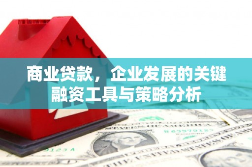 临邑商业贷款，企业发展的关键融资工具与策略分析