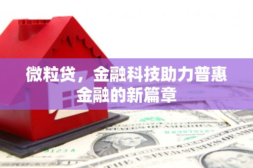 临邑微粒贷，金融科技助力普惠金融的新篇章