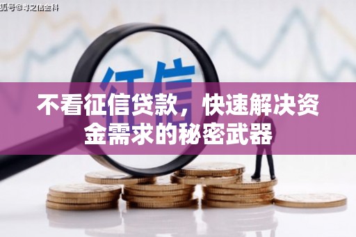 临邑不看征信贷款，快速解决资金需求的秘密武器