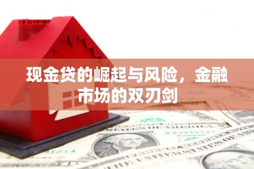 临邑现金贷的崛起与风险，金融市场的双刃剑