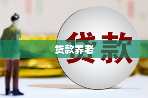 临邑贷款养老