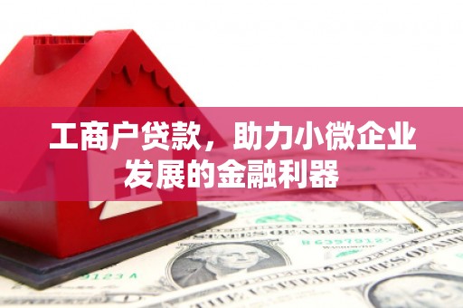 临邑工商户贷款，助力小微企业发展的金融利器