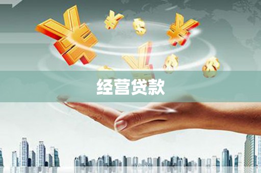 临邑经营贷款