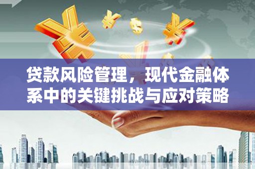 临邑贷款风险管理，现代金融体系中的关键挑战与应对策略