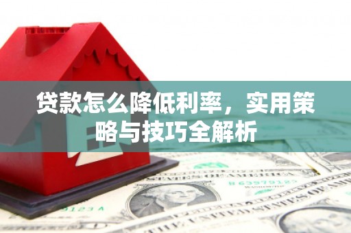 临邑贷款怎么降低利率，实用策略与技巧全解析