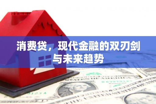 临邑消费贷，现代金融的双刃剑与未来趋势