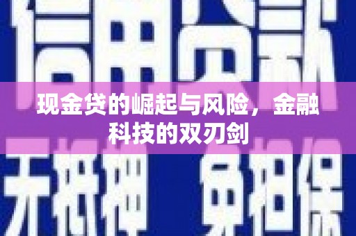 临邑现金贷的崛起与风险，金融科技的双刃剑