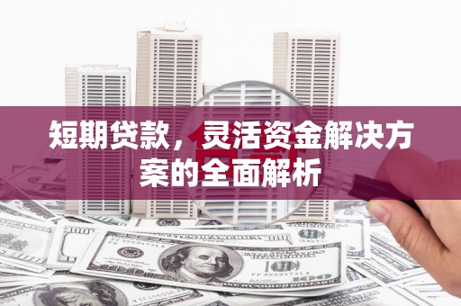 临邑短期贷款，灵活资金解决方案的全面解析