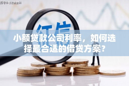 临邑小额贷款公司利率，如何选择最合适的借贷方案？
