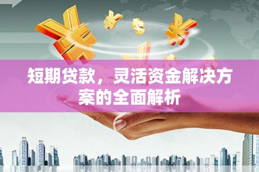 临邑短期贷款，灵活资金解决方案的全面解析