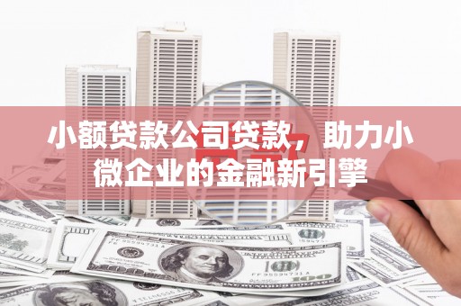 临邑小额贷款公司贷款，助力小微企业的金融新引擎
