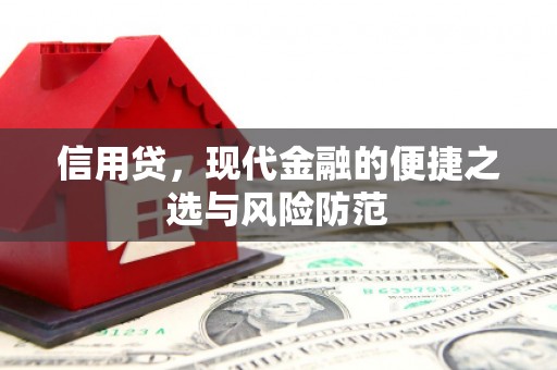 临邑信用贷，现代金融的便捷之选与风险防范
