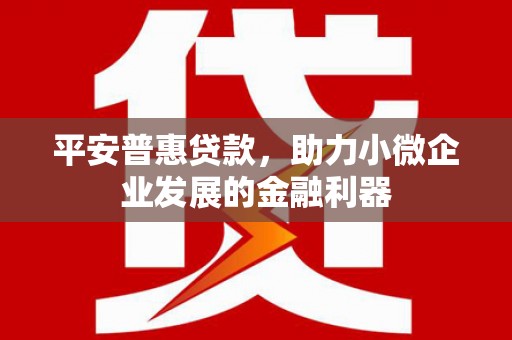 临邑平安普惠贷款，助力小微企业发展的金融利器