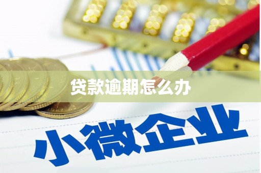 临邑贷款逾期怎么办