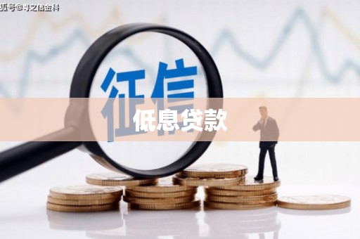 临邑低息贷款