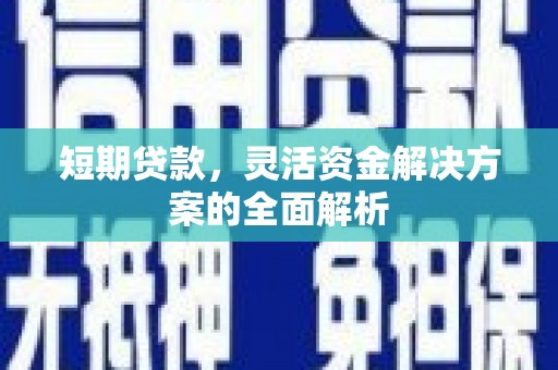 临邑短期贷款，灵活资金解决方案的全面解析