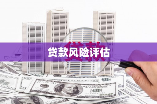 临邑贷款风险评估