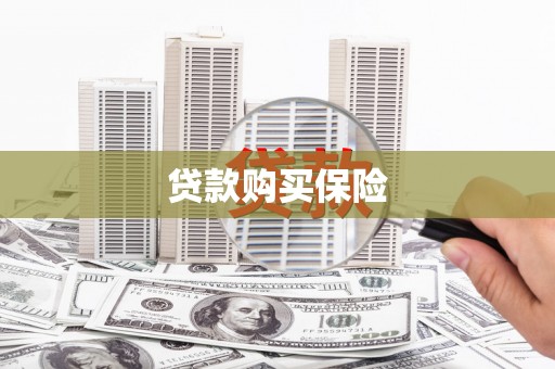 临邑贷款购买保险