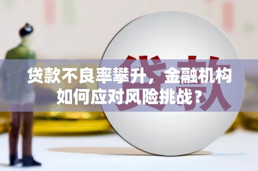 临邑贷款不良率攀升，金融机构如何应对风险挑战？