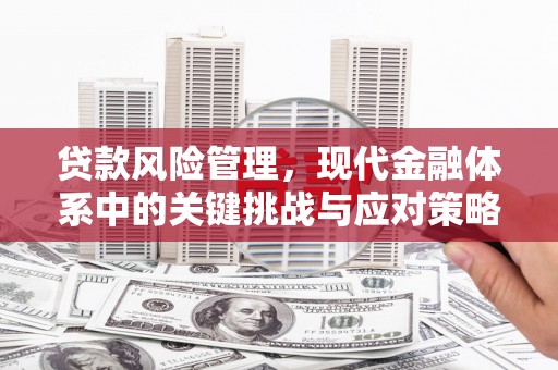 临邑贷款风险管理，现代金融体系中的关键挑战与应对策略