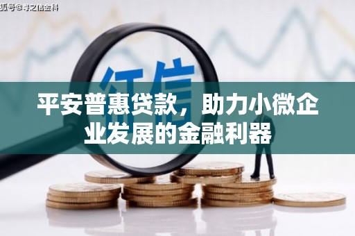 临邑平安普惠贷款，助力小微企业发展的金融利器