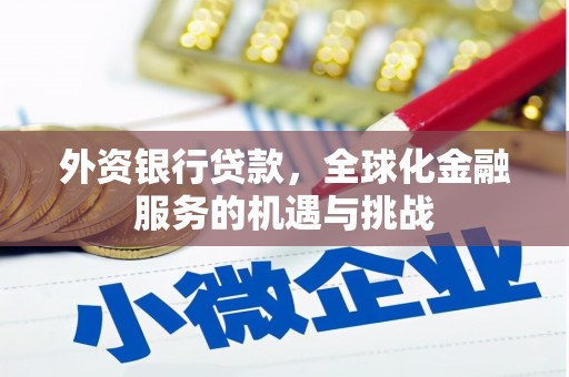 临邑外资银行贷款，全球化金融服务的机遇与挑战