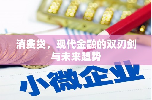 临邑消费贷，现代金融的双刃剑与未来趋势