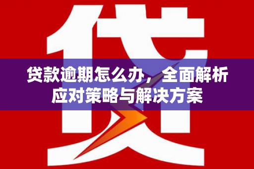 临邑贷款逾期怎么办，全面解析应对策略与解决方案