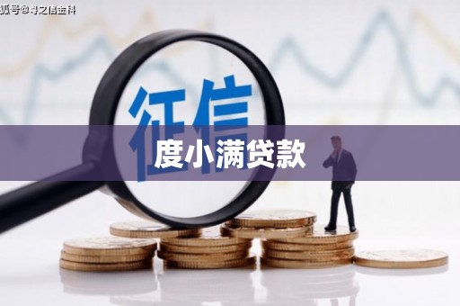临邑度小满贷款