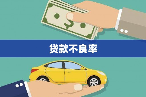 临邑贷款不良率