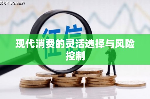 临邑现代消费的灵活选择与风险控制