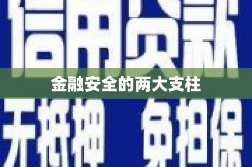 临邑金融安全的两大支柱